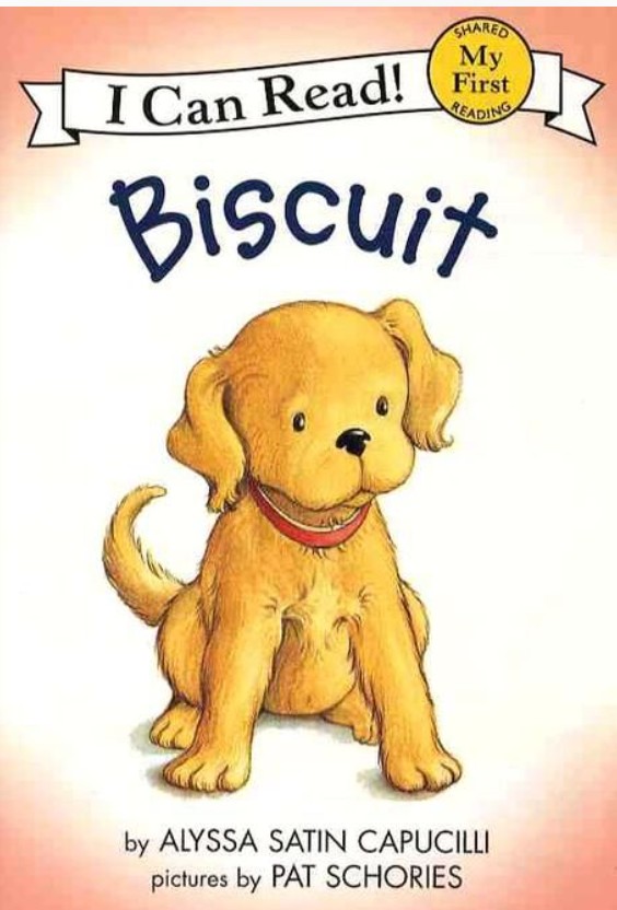 Biscuit
